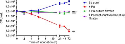 Phenotypical Characteristics of the Black Yeast Exophiala dermatitidis Are Affected by Pseudomonas aeruginosa in an Artificial Sputum Medium Mimicking Cystic Fibrosis–Like Conditions